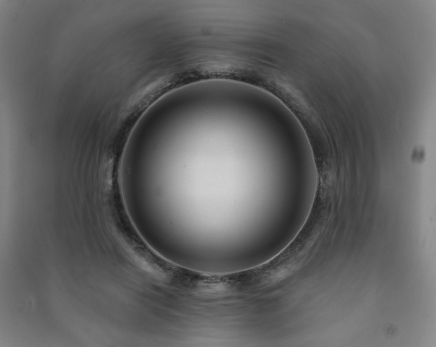 X0000091460454200708161525