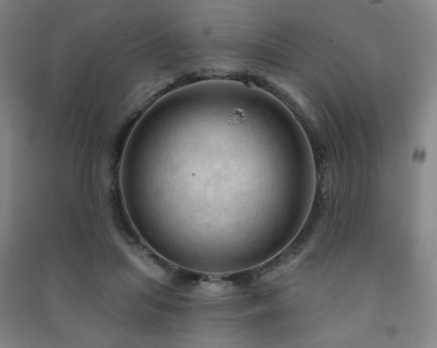X0000091460455200708161526