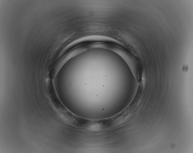 X0000091460456200708161526