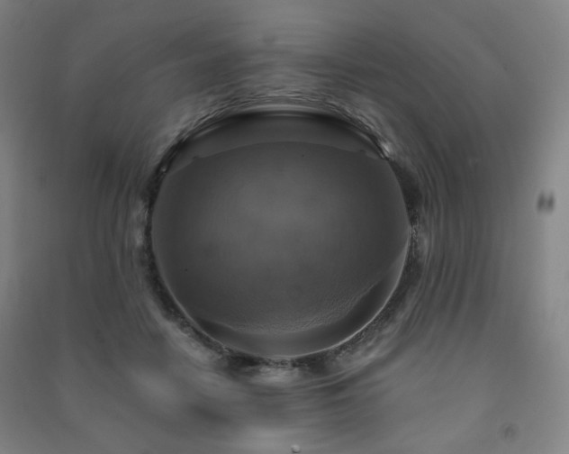X0000091460458200708161526