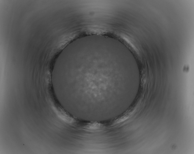 X0000091460459200708161526