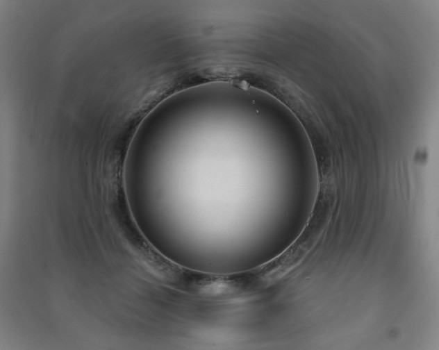 X0000091460460200708161526