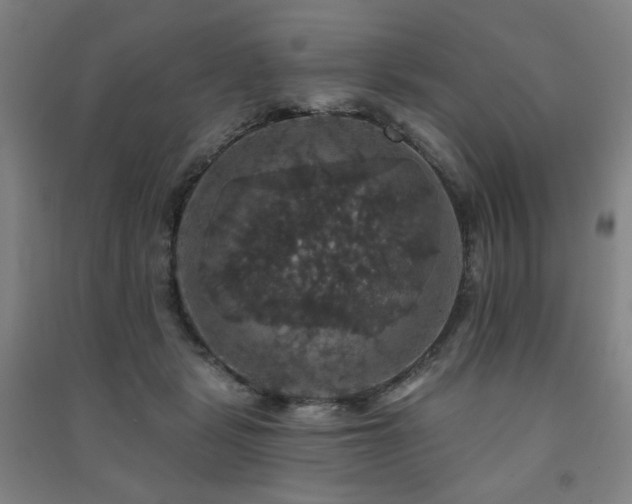 X0000091460461200708161526