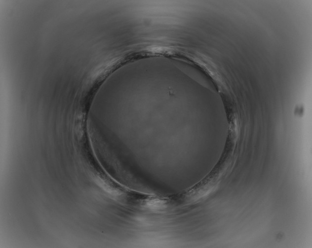 X0000091460462200708161526