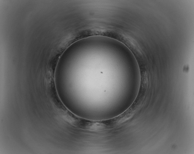 X0000091460463200708161526