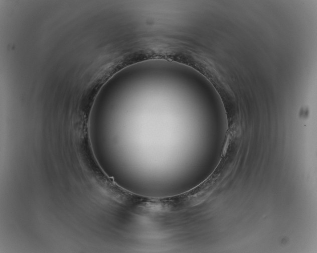 X0000091460464200708161526