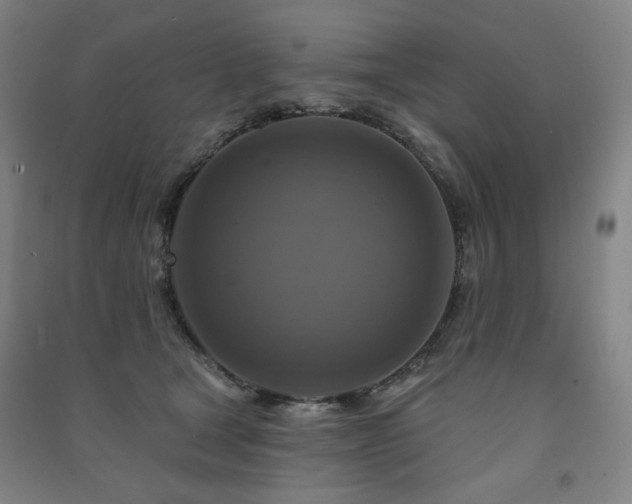 X0000091460465200708161526