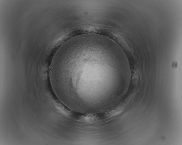 X0000091460466200708161526