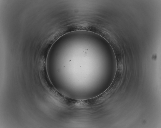 X0000091460468200708161526