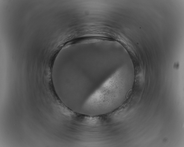 X0000091460469200708161526
