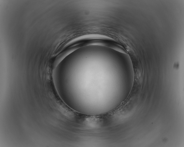 X0000091460470200708161526