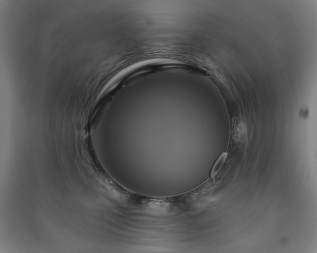 X0000091460471200708161526