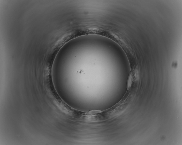 X0000091460472200708161526