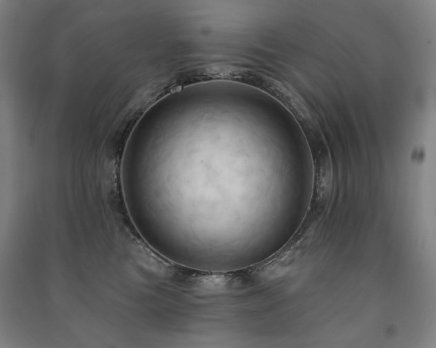X0000091460473200708161526