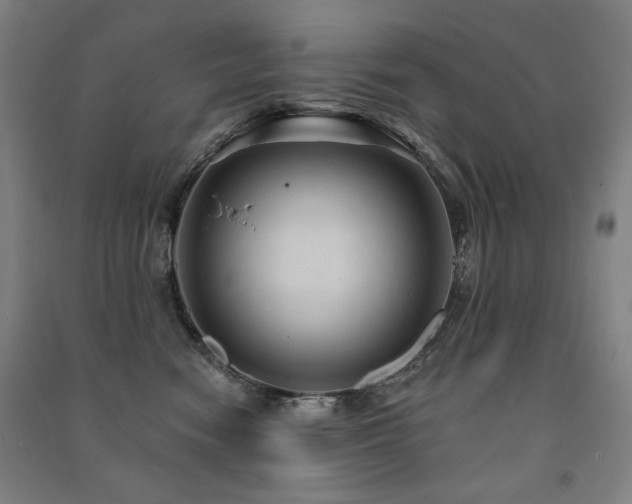 X0000091460474200708161526
