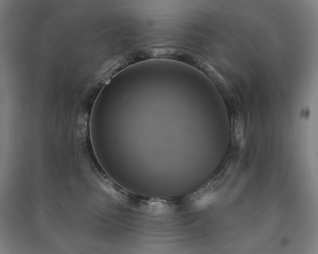X0000091460475200708161526