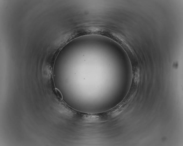 X0000091460476200708161526