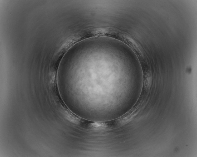 X0000091460477200708161526