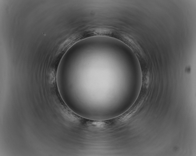 X0000091460478200708161526