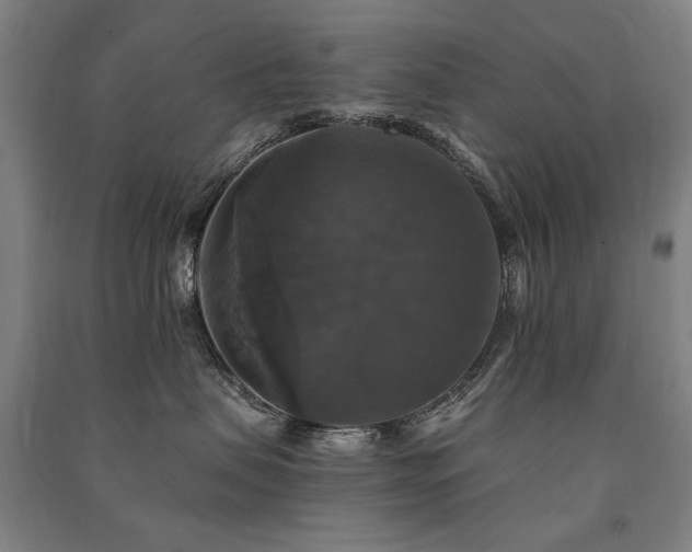 X0000091460479200708161526