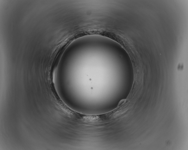 X0000091460480200708161526