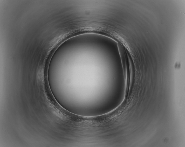 X0000091460482200708161525