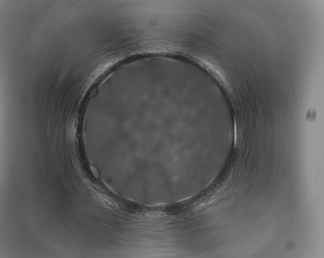 X0000091460483200708161525