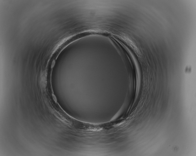 X0000091460484200708161525