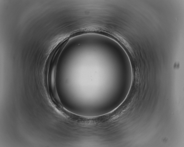 X0000091460485200708161525