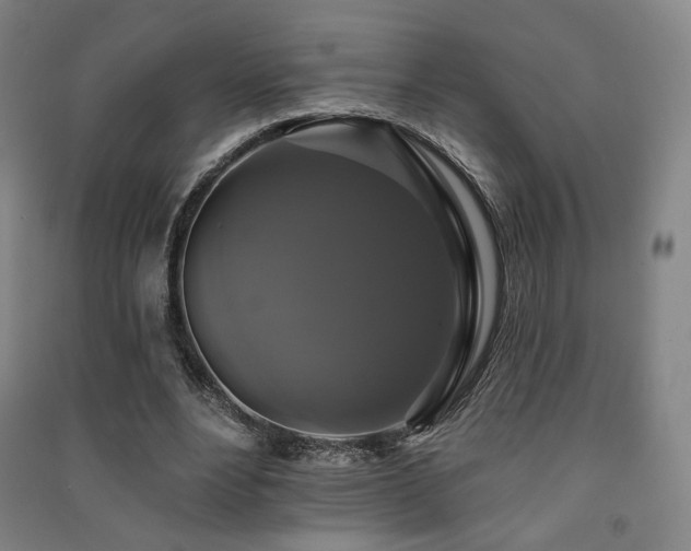 X0000091460488200708161525