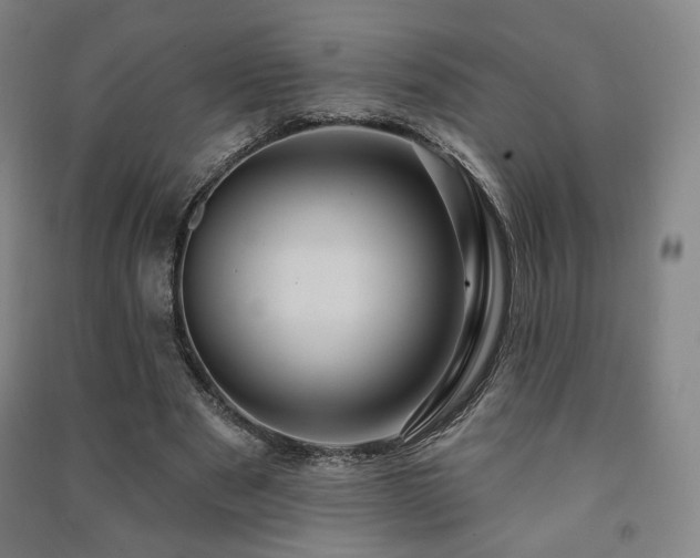 X0000091460489200708161525