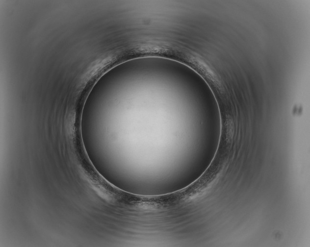 X0000091460490200708161525