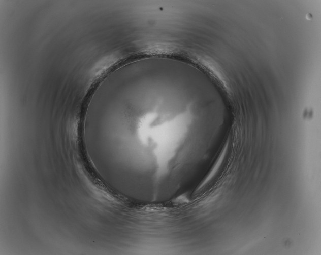 X0000091460491200708161525