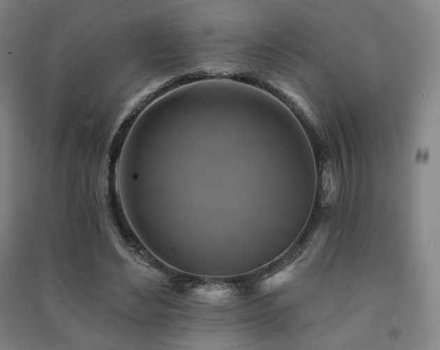 X0000091460492200708161525