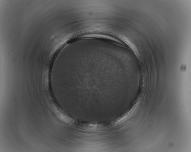 X0000091460493200708161525