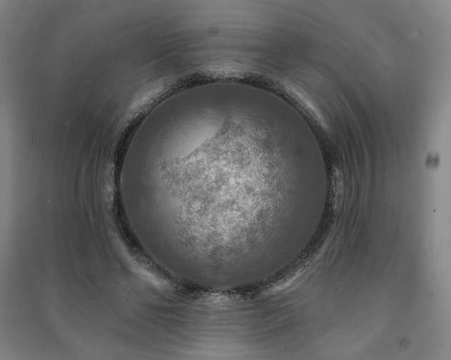 X0000091460494200708161525
