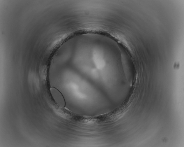 X0000091460495200708161525