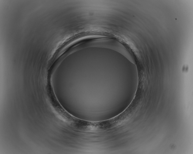 X0000091460496200708161525