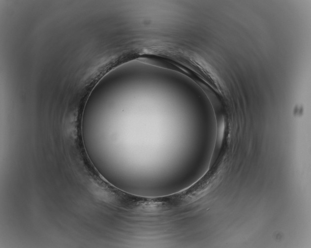 X0000091460497200708161525