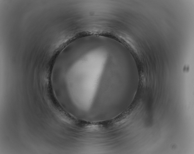 X0000091460499200708161525