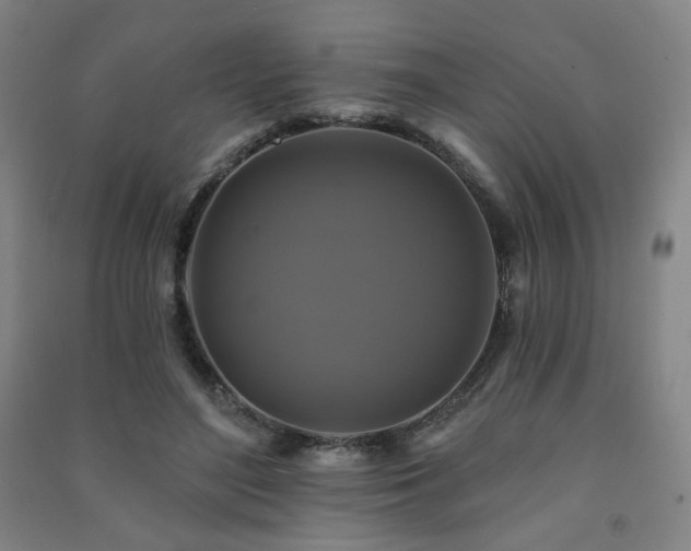 X0000091460500200708161525