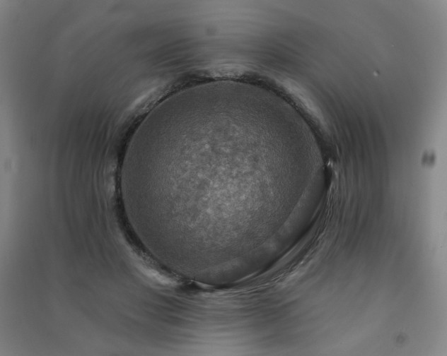 X0000091460501200708161525