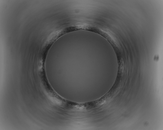 X0000091460502200708161525