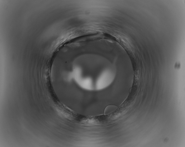 X0000091460503200708161525
