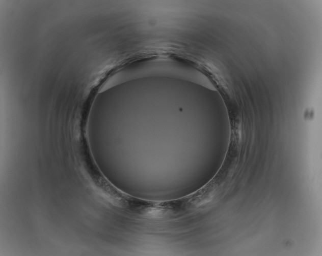 X0000091460504200708161525
