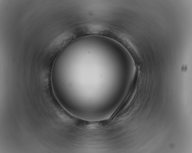 X0000091460505200708161525