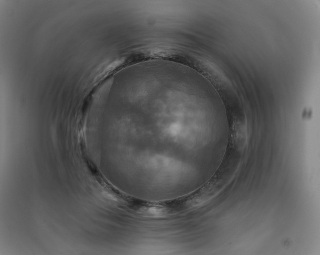 X0000091460506200708161525