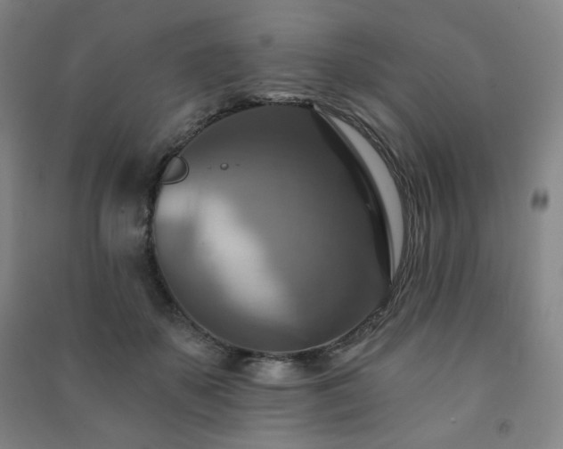 X0000091460507200708161525