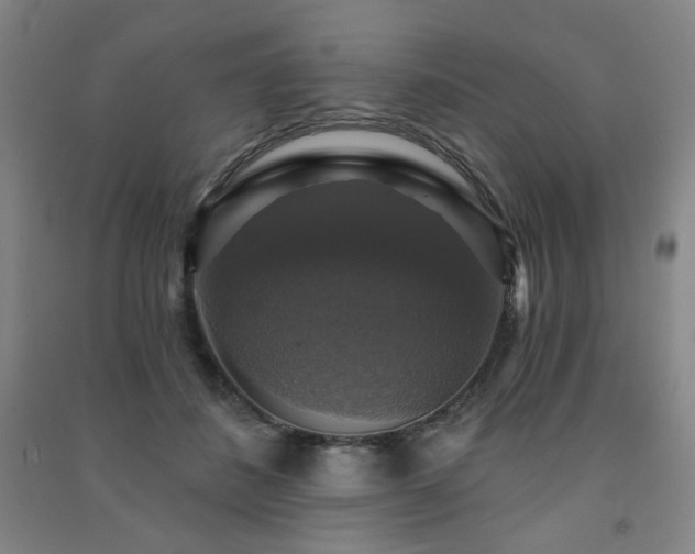 X0000091460508200708161525