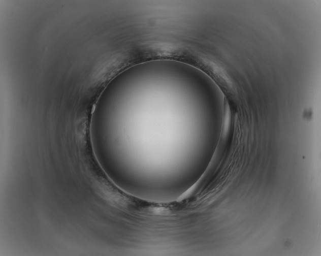 X0000091460509200708161525